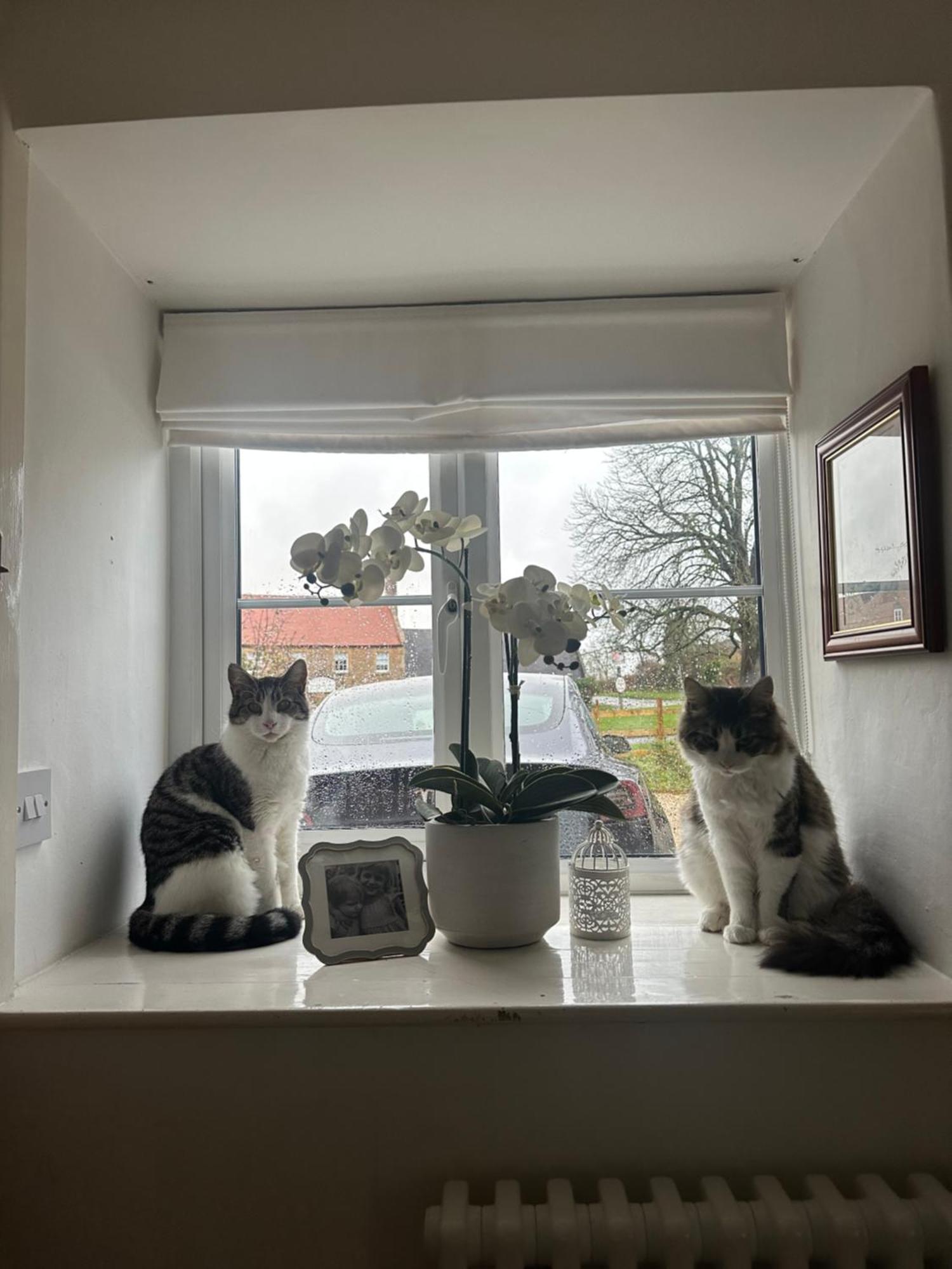 Gem Cottage Illmington Luaran gambar